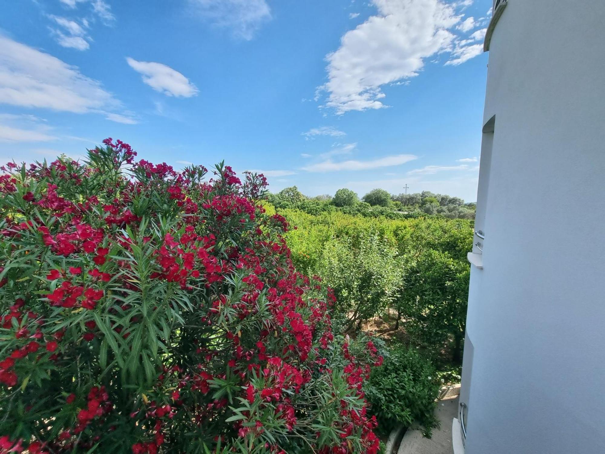 Le Domaine Paradise * Ulcinj