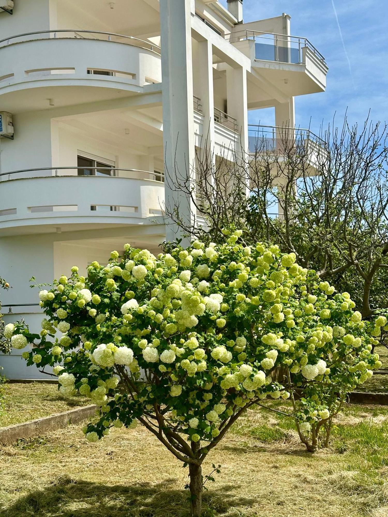 Le Domaine Paradise Ulcinj